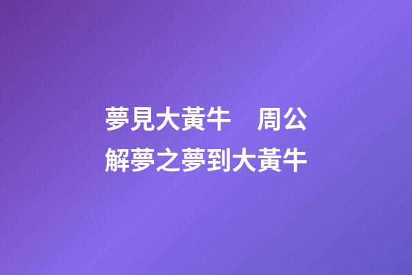 夢見大黃牛　周公解夢之夢到大黃牛